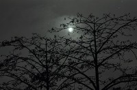 藏品(1950至2006年臺灣常民生活)的圖片