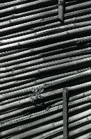 藏品(1950至2006年臺灣常民生活)的圖片