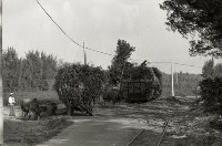 藏品(1950至2006年臺灣常民生活)的圖片