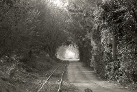 藏品(1950至2006年臺灣常民生活)的圖片