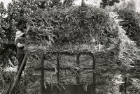 藏品(1950至2006年臺灣常民生活)的圖片