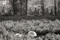 藏品(1950至2006年臺灣常民生活)的圖片