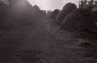 藏品(1950至2006年臺灣常民生活)的圖片