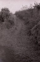 藏品(1950至2006年臺灣常民生活)的圖片