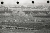 藏品(1950至2006年臺灣常民生活)的圖片