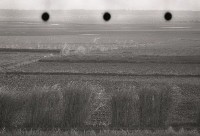 藏品(1950至2006年臺灣常民生活)的圖片