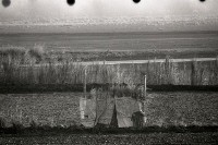 藏品(1950至2006年臺灣常民生活)的圖片