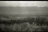 藏品(1950至2006年臺灣常民生活)的圖片