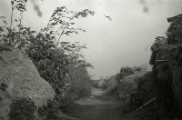 藏品(1950至2006年臺灣常民生活)的圖片