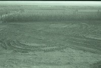 藏品(1950至2006年臺灣常民生活)的圖片