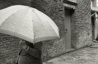 藏品(1950至2006年臺灣常民生活)的圖片