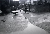 藏品(1950至2006年臺灣常民生活)的圖片