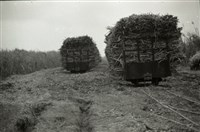 藏品(1950至2006年臺灣常民生活)的圖片