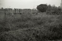 藏品(1950至2006年臺灣常民生活)的圖片