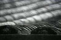 藏品(1950至2006年臺灣常民生活)的圖片