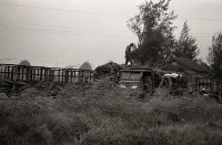 藏品(1950至2006年臺灣常民生活)的圖片