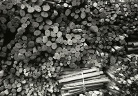 藏品(1950至2006年臺灣常民生活)的圖片