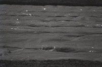 藏品(1950至2006年臺灣常民生活)的圖片