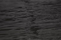 藏品(1950至2006年臺灣常民生活)的圖片