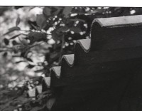 藏品(1950至2006年臺灣常民生活)的圖片