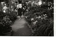 藏品(1950至2006年臺灣常民生活)的圖片