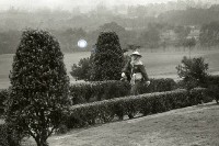 藏品(1950至2006年臺灣常民生活)的圖片