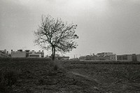 藏品(1950至2006年臺灣常民生活)的圖片