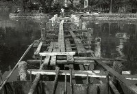 藏品(1950至2006年臺灣常民生活)的圖片