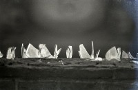 藏品(1950至2006年臺灣常民生活)的圖片