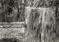 藏品(1950至2006年臺灣常民生活)的圖片