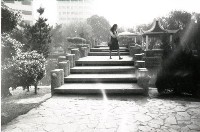 藏品(1950至2006年臺灣常民生活)的圖片