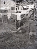 藏品(1950至2006年臺灣常民生活)的圖片