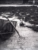 藏品(1950至2006年臺灣常民生活)的圖片