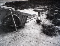 藏品(1950至2006年臺灣常民生活)的圖片