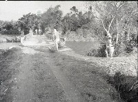 藏品(1950至2006年臺灣常民生活)的圖片