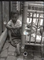 藏品(1950至2006年臺灣常民生活)的圖片