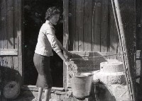 藏品(1950至2006年臺灣常民生活)的圖片