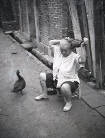 藏品(1950至2006年臺灣常民生活)的圖片