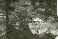 藏品(1950至2006年臺灣常民生活)的圖片