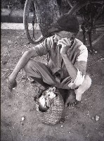 藏品(1950至2006年臺灣常民生活)的圖片