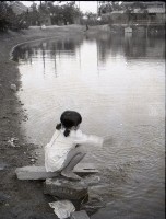 藏品(1950至2006年臺灣常民生活)的圖片