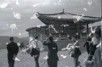 藏品(1950至2006年臺灣常民生活)的圖片