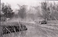 藏品(1950至2006年臺灣常民生活)的圖片