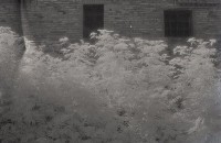 藏品(1950至2006年臺灣常民生活)的圖片