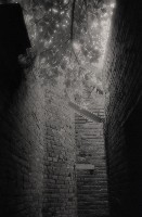 藏品(1950至2006年臺灣常民生活)的圖片