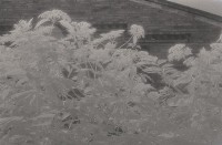 藏品(1950至2006年臺灣常民生活)的圖片