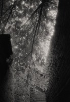 藏品(1950至2006年臺灣常民生活)的圖片