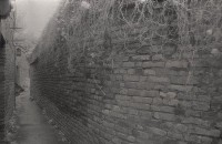 藏品(1950至2006年臺灣常民生活)的圖片