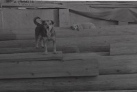 藏品(1950至2006年臺灣常民生活)的圖片