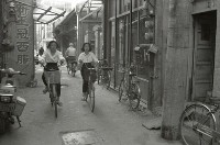 藏品(1950至2006年臺灣常民生活)的圖片